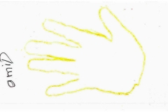 000081
