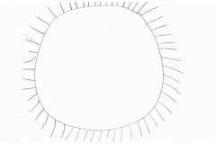 002055