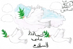 morocco-sale-06