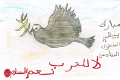 morocco-sale-14