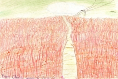scan0034