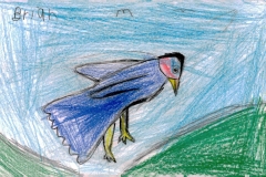 u-s-a-ky-louisville-goldsmith-elm-484